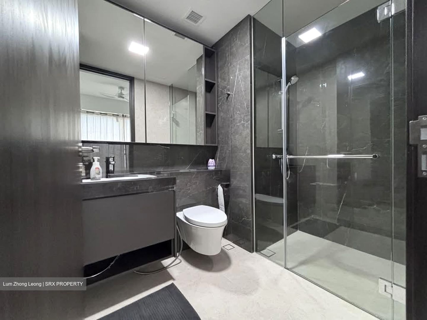 Parc Clematis (D5), Apartment #560941531